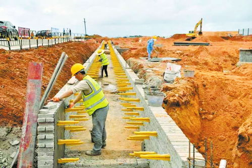 海口市譚仙農產品加工產業園一期項目進度已超40%，預計年底完工