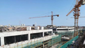 中國(guó)電工電器城八月工程進(jìn)度播報(bào) 穩(wěn)步推進(jìn)，共建產(chǎn)業(yè)新高地